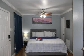 Blue Shark *E10* @ Midtown Vibrant King Studio